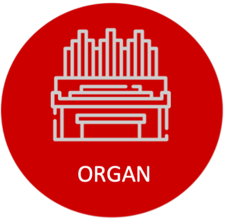 Picture for category Organ
