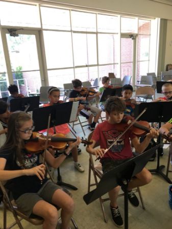 Picture for category Summer Strings
