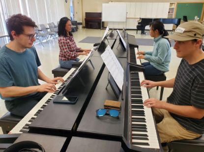 Picture of Adult Piano Class