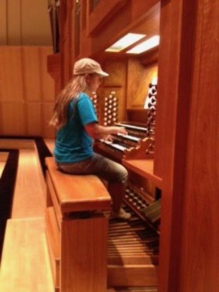 Picture of Fall/Spring  Organ Group Classes 